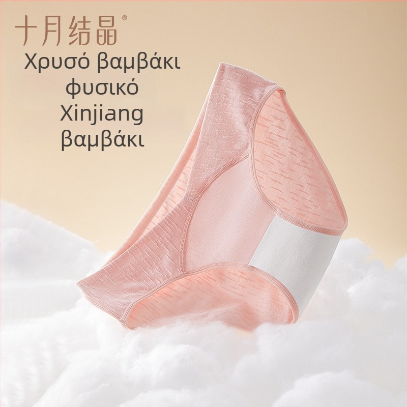 Εσώρουχο εγκυμοσύνης για όλα τα στάδια – χαμηλή ζώνη, αντιβακτηριακό βαμβάκι 90–95%, κατάλληλο για όλες τις εποχές