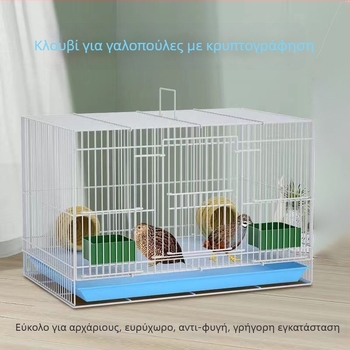 Κλουβί Εκτροφής Πτηνών με Σιδερένιο Σύρμα, για Ορτύκια, Κοτόπουλα και Παπιές