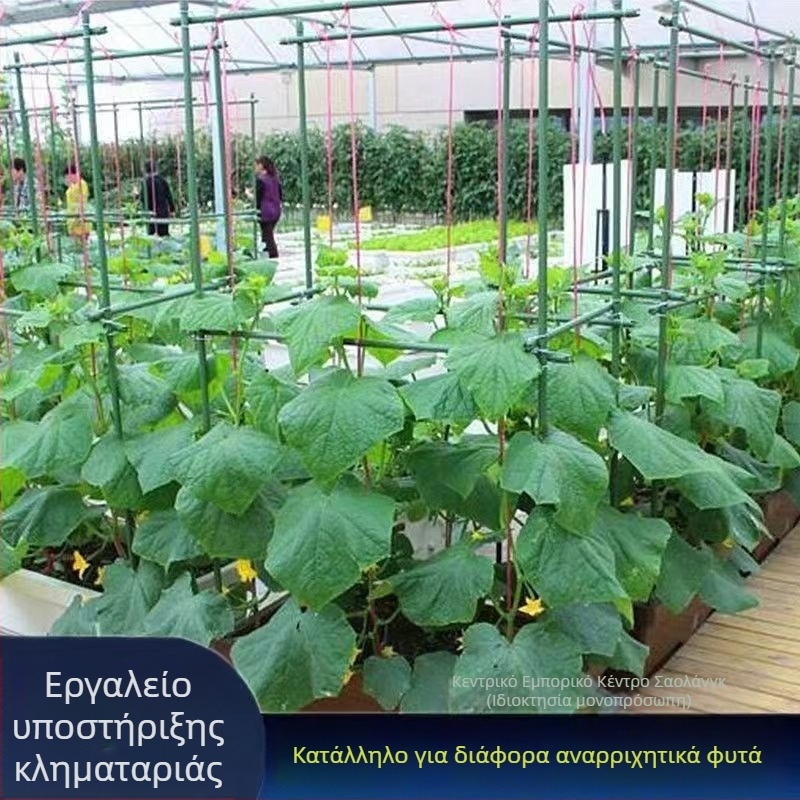 Πλαίσιο αναρρίχησης φυτών για οικιακή κηπουρική — πλαστικό, επιδαπέδια βάση