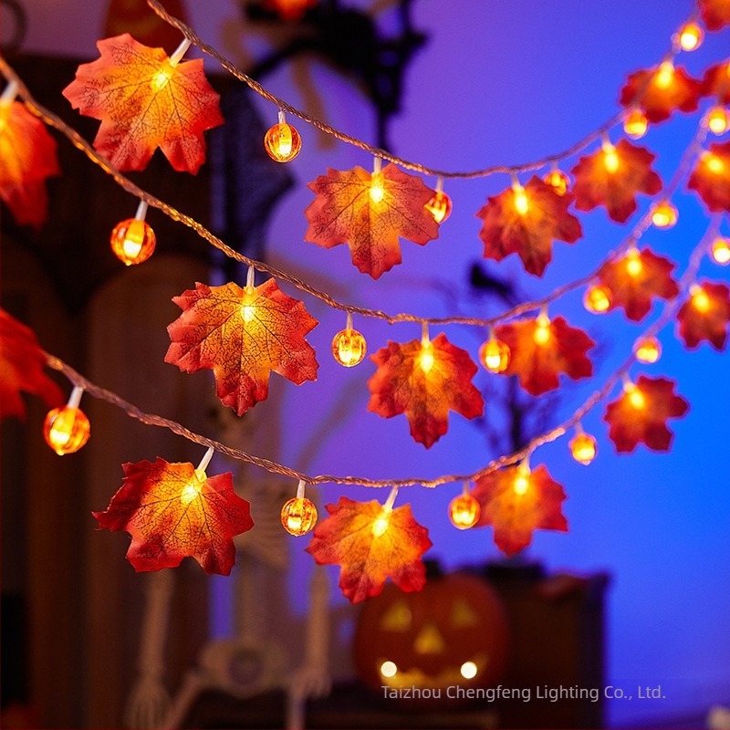 Maple Leaf Pumpkin LED αλυσίδα φωτισμού, 40 LED, τροφοδοσία με μπαταρίες, ρυθμιζόμενος φωτισμός, IP43