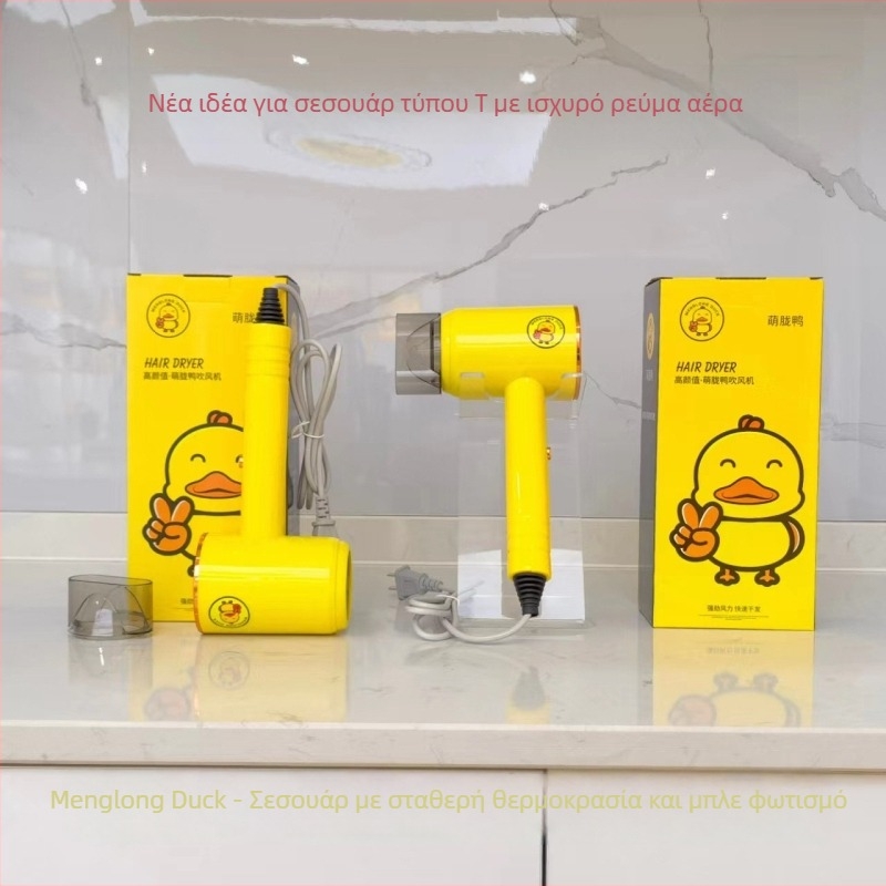 Στεγνωτήρας μαλλιών με ζεστό και κρύο αέρα σε σταθερή θερμοκρασία, κινητήρας χωρίς ψήκτρες, 800W, 220V