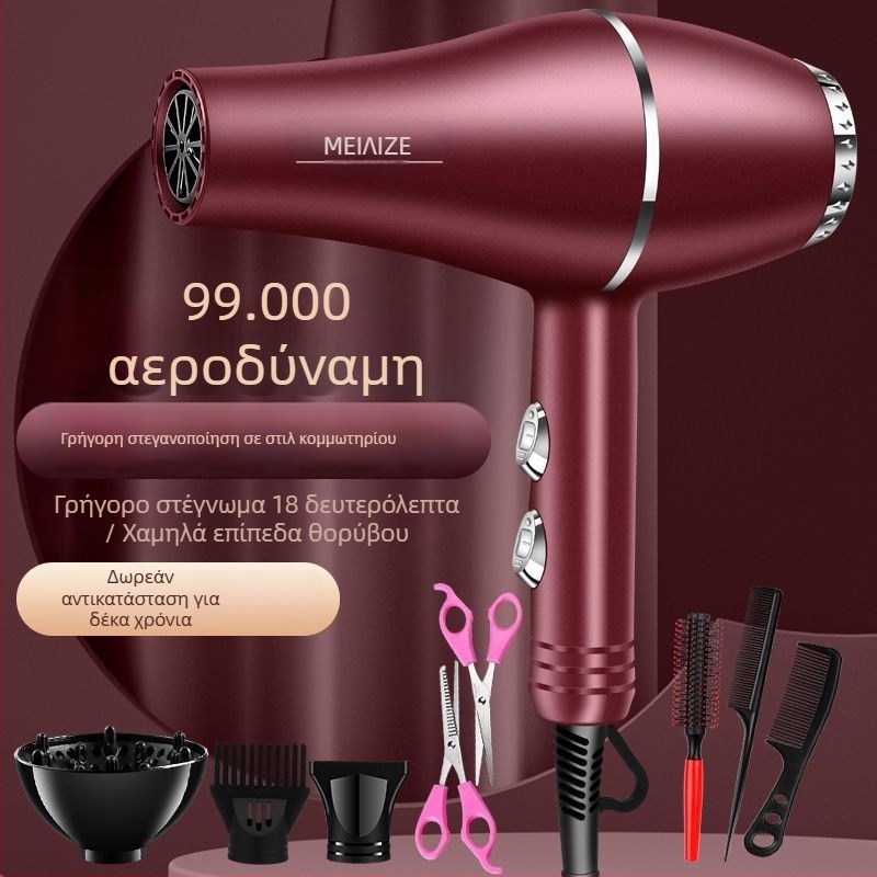 Συσκευή στεγνώματος μαλλιών υψηλής ισχύος, κινητήρας με βούρτσες, έλεγχος ψυχρού/ζεστού αέρα, 3 ταχύτητες ροής, μονή ακροφύσιο, σταθερός έλεγχος θερμοκρασίας