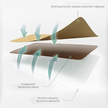 Thai Longan Rhinitis Patch — Αυτοκόλλητο ρινίτιδας για ανακούφιση από φτέρνισμα, καταρροή και συμφόρηση, κατάλληλο για όλους τους τύπους δέρματος, OEM μάρκα