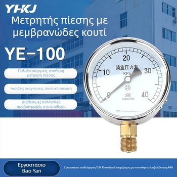 Bellows pressure gauge YE-100, ακρίβεια κλάσης 2.5, σύνδεση με σπείρωμα