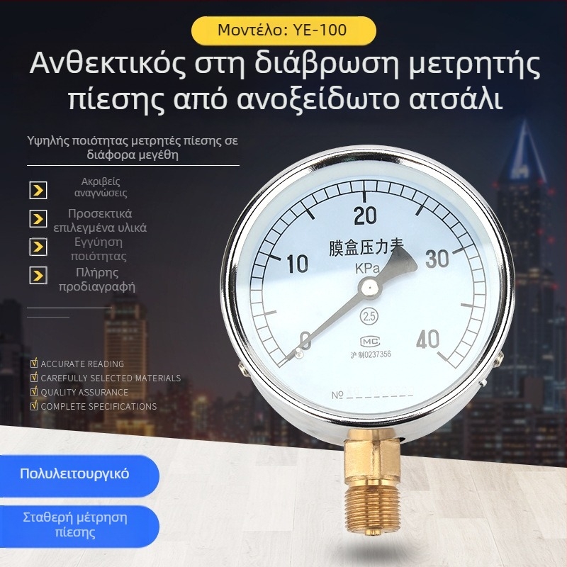 Bellows pressure gauge YE-100, ακρίβεια κλάσης 2.5, σύνδεση με σπείρωμα