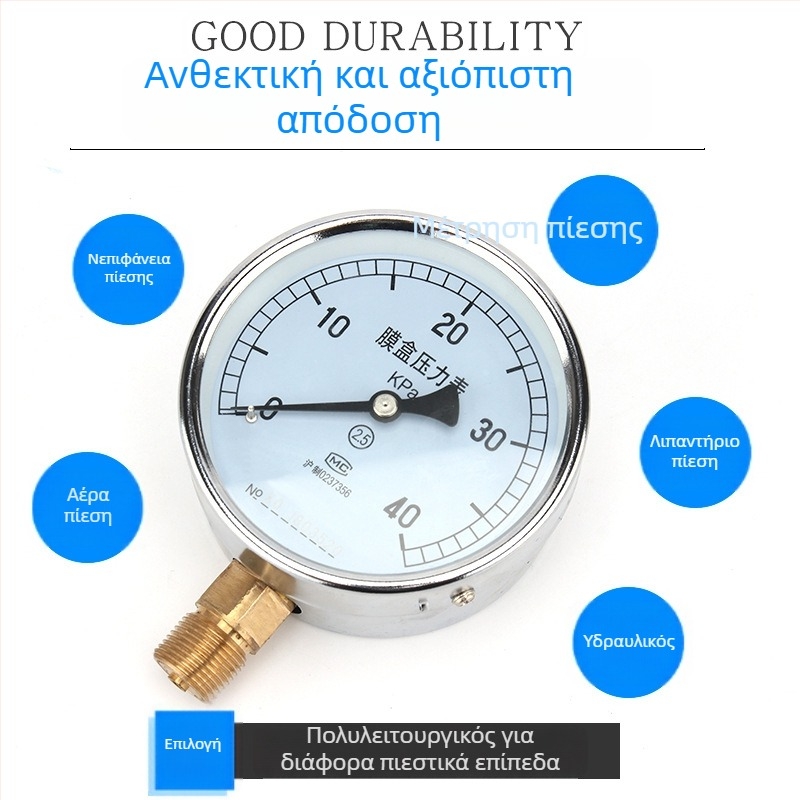 Bellows pressure gauge YE-100, ακρίβεια κλάσης 2.5, σύνδεση με σπείρωμα