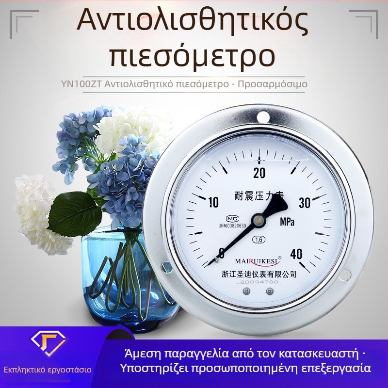 Μετρητής πίεσης ανθεκτικός σε κραδασμούς YN100ZT, σύνδεση M20×1.5, εύρος -0.1 έως 100, ακρίβεια 1.6