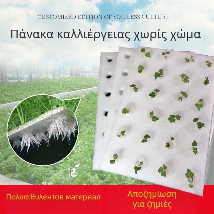 Πλωτή πλάκα υδροπονίας για καλλιέργεια λαχανικών στο νερό | υλικό: πολυαιθυλένιο | διακοσμητικό κηπουρικό αντικείμενο