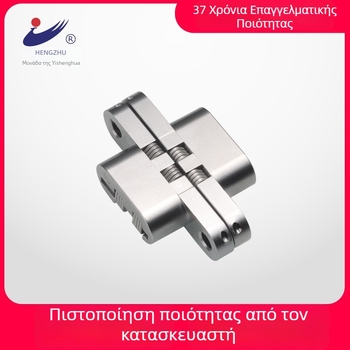 Κρυφός μεντεσές πόρτας HL164-2, κράμα ψευδάργύρου, ηλεκτροπλατιωμένο φινίρισμα, τυπικός παχύς μεντεσές, μοντέρνο μίνιμαλ στυλ