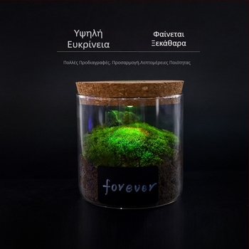 Γυάλινο βάζο αποθήκευσης με φωτισμό, borosilicate γυαλί υψηλής διαφάνειας, φελλώδες καπάκι, παρουσίαση βραχιολιών, προστασία από σκόνη