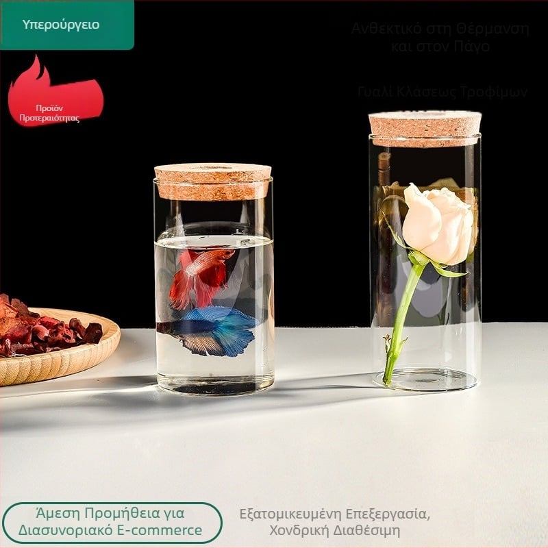 Γυάλινο βάζο αποθήκευσης με φωτισμό, borosilicate γυαλί υψηλής διαφάνειας, φελλώδες καπάκι, παρουσίαση βραχιολιών, προστασία από σκόνη