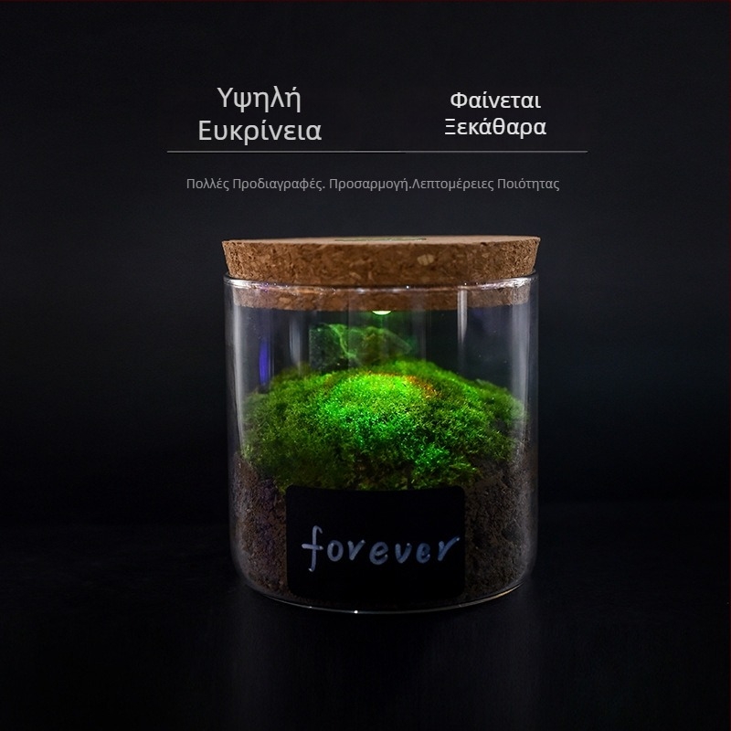 Γυάλινο βάζο αποθήκευσης με φωτισμό, borosilicate γυαλί υψηλής διαφάνειας, φελλώδες καπάκι, παρουσίαση βραχιολιών, προστασία από σκόνη