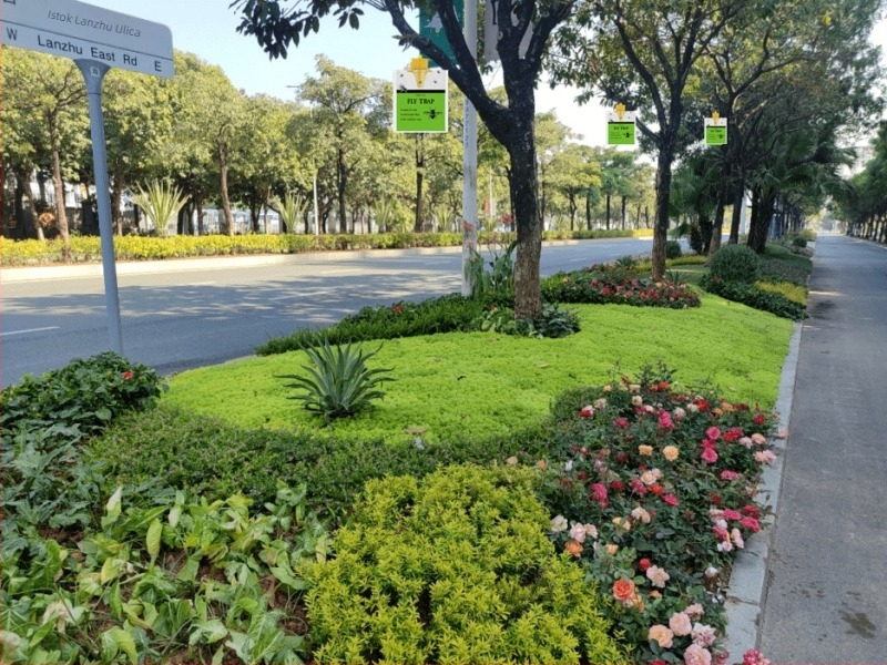 Lovač muha SPDAK SK001 — viseći mamac s vodotopljivim plijekom, ekološki materijal, pakiranje 100 kom