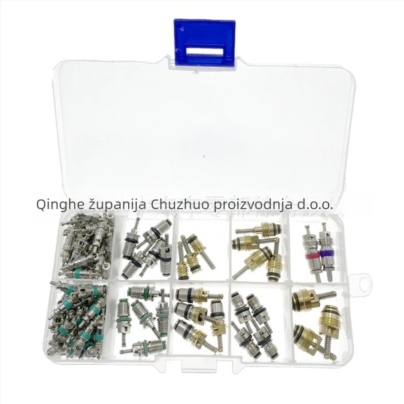 Air Conditioning Valve Core Kit – Chu zhuo, universal za sva vozila