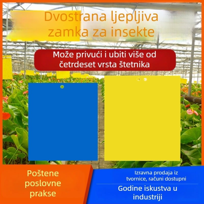 Ljepliva ploča za insekte i zamka za muhe i komarce