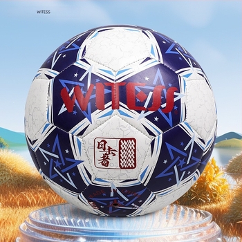 PVC nogometna lopta, šivana strojem, nacionalni standard, tiskano logo, mogućnost prilagodbe