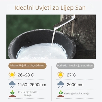 Jastuk od prirodnog lateksa s valovitim oblikom za vratnu kralježnicu, sadržaj lateksa >90%, težina 2–3 kg, mogućnost prilagodbe obrade