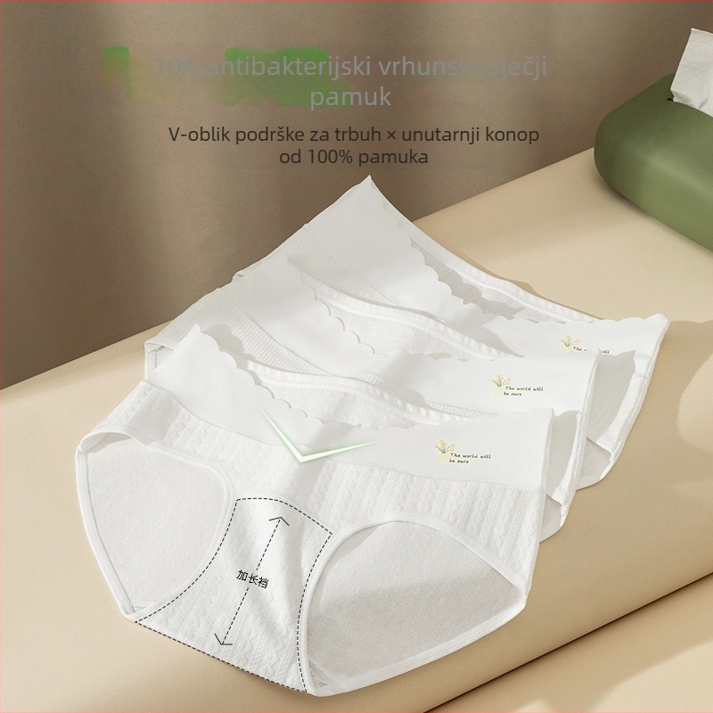 Pamukaste trudničke gaćice – niski struk, podrška trbuha, prozračan, antibakterijski, za sve sezone