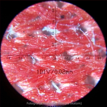Prenosivi LED mikroskop s 100× uvećanjem i mjernom skalom za nastavu