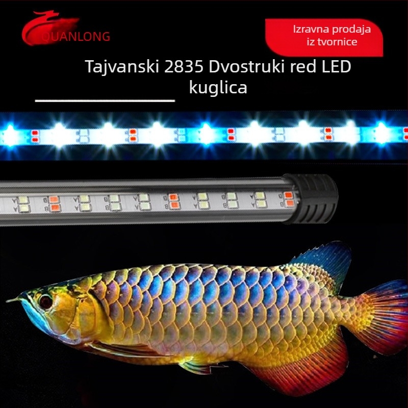 Spring Dragon LED lampa za akvarij, 3W, staklo, osvjetljenje, 1 kg