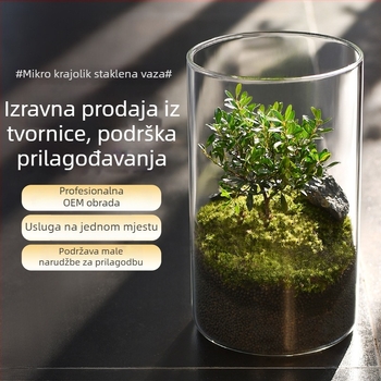 Prozirna staklena vaza za mikro krajolik, cilindrični oblik, borosilikatno staklo, prilagodljivo, Thick Glass