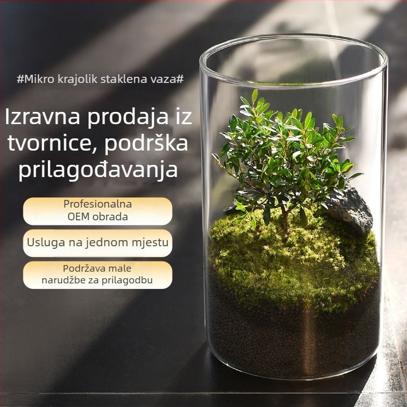 Prozirna staklena vaza za mikro krajolik, cilindrični oblik, borosilikatno staklo, prilagodljivo, Thick Glass