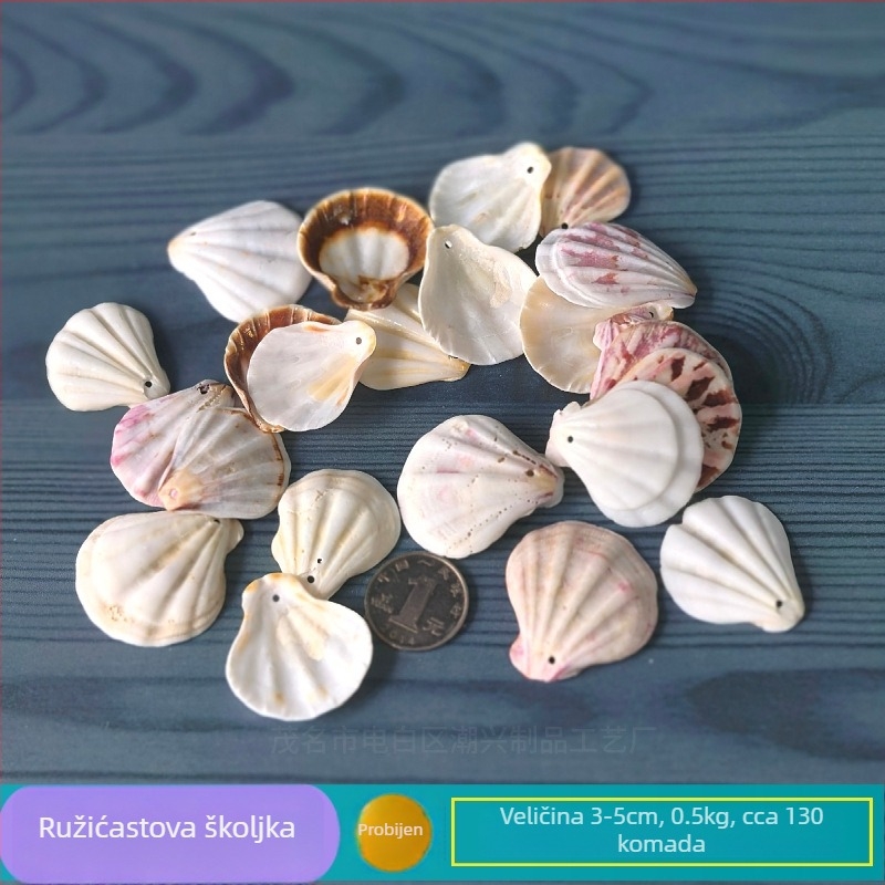 Prirodne školjke i morska zvijezda za akvarij/terarij, s perforacijama, ručno izrađena dječja fotografija okvir, DIY zvonjica vjetra i drift boca