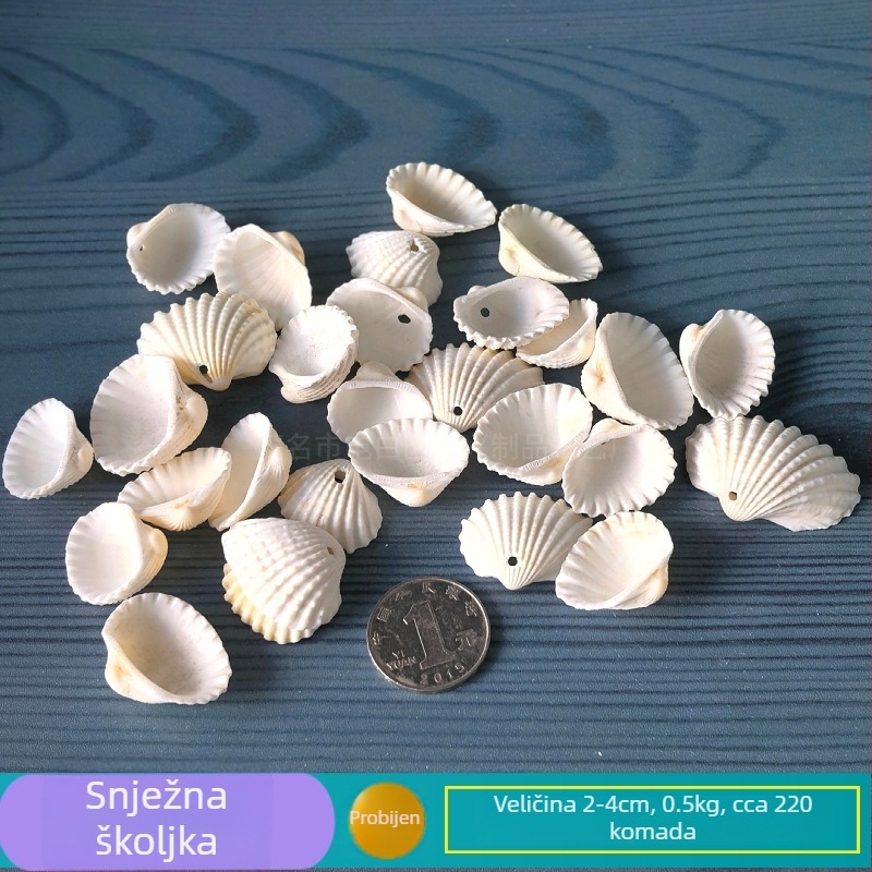 Prirodne školjke i morska zvijezda za akvarij/terarij, s perforacijama, ručno izrađena dječja fotografija okvir, DIY zvonjica vjetra i drift boca