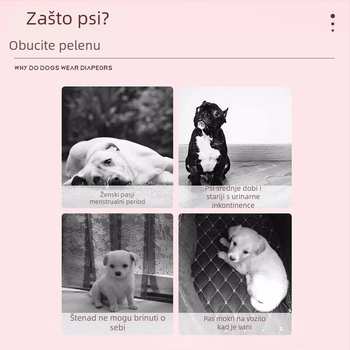 Peleni za mačke i pse s prozračnom bazom, polimerno-celuloznim jezgrom i elastičnom trakom – paket 10 komada