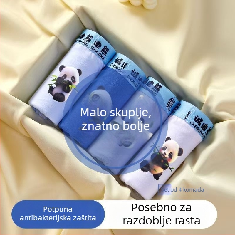 Dječje pamuk gaćice za dječake, 95% pamuk, razina sigurnosti A, model 3005+3006, ljeto 2025