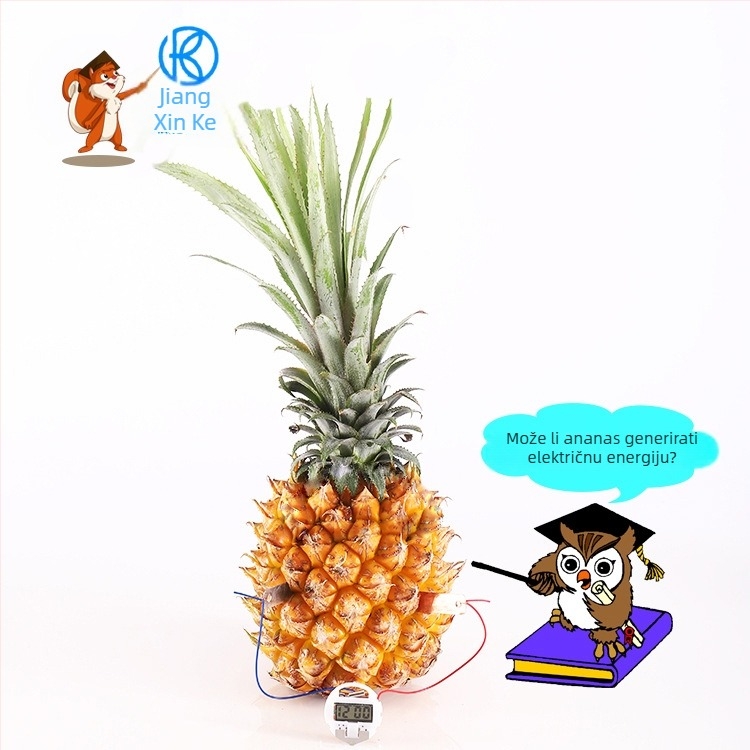 Znanstveni edukacijski set: sat s baterijom od voća — metalni, električni, multi-funkcionalni, za djecu 4–6 godina