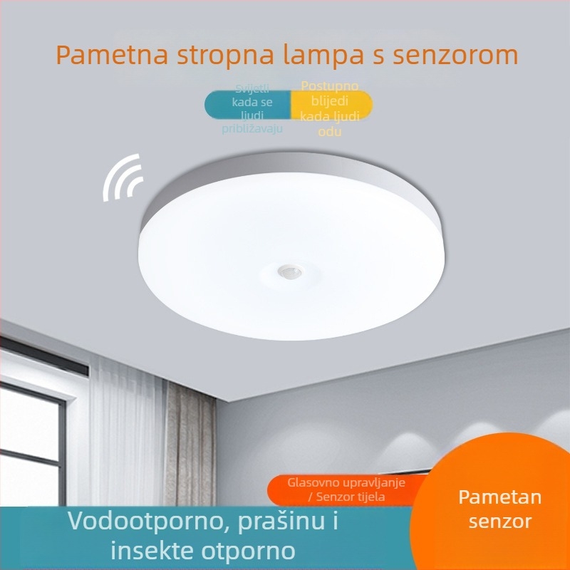 LED stropno svjetlo s radarom za pokret i upravljanjem glasom i svjetlom, 220V, domet 10–15 m², pogodno za hodnik i balkon