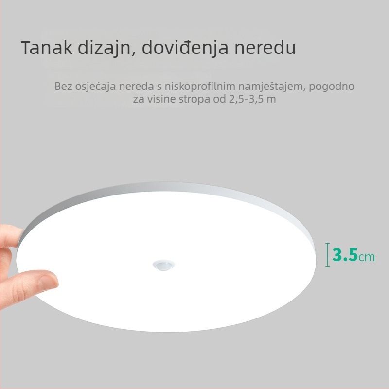 Stropna svjetiljka (LED, senzor pokreta, 220V, domet 10-15 m²)