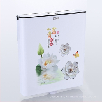 Spremnik za ispiranje klozeta za klekastu toaletu - PP, 4-8L, ručno upravljanje, zidni odvod, Essence Antelope