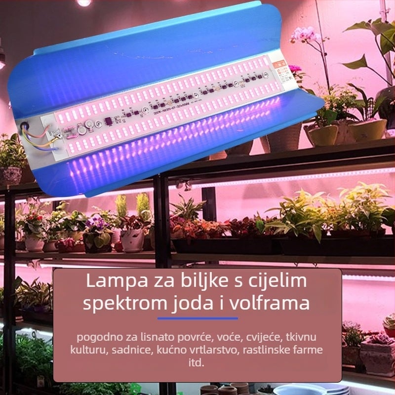 LED svjetiljka za rast biljaka, 100W, 100 LED dioda, 1000 lm, IP65, vijek trajanja 50000 h