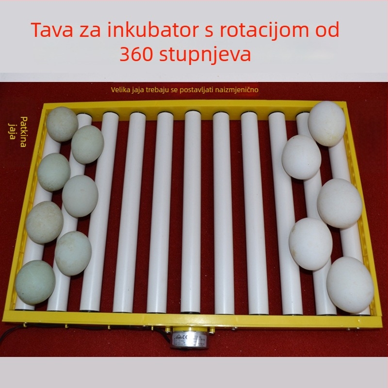 Jiayu Inkubator za jaja i košara za izleganje pilića – 360° samostalni valjak, 6 mjeseci jamstva, uzgoj i akvakultura