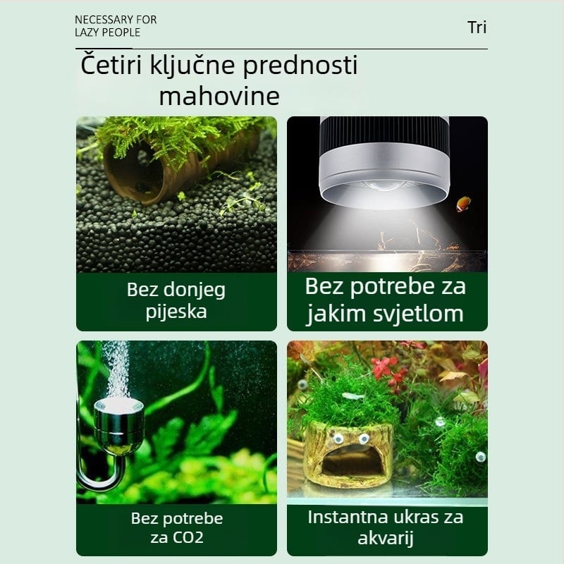 Keramički ukras akvarija – sklonište i krajolik; Brand Crazy aquatic plants; Materijal keramika; Funkcija sklonište i uređenje krajolika; Glavna namjena: uređenje krajolika, sklonište