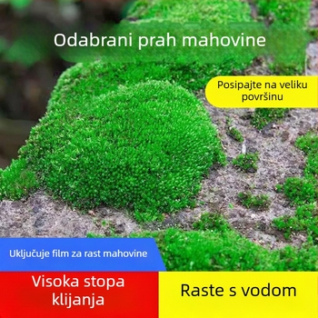 Prašak mahovineih spora za mikro pejzaže i bonsaje — Marka Independence, neimportirano