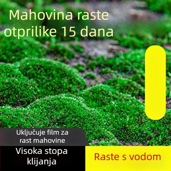 Prašak mahovineih spora za mikro pejzaže i bonsaje — Marka Independence, neimportirano