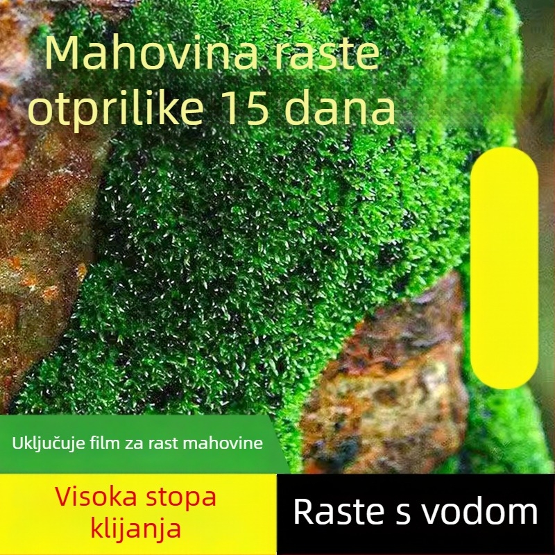 Prašak mahovineih spora za mikro pejzaže i bonsaje — Marka Independence, neimportirano