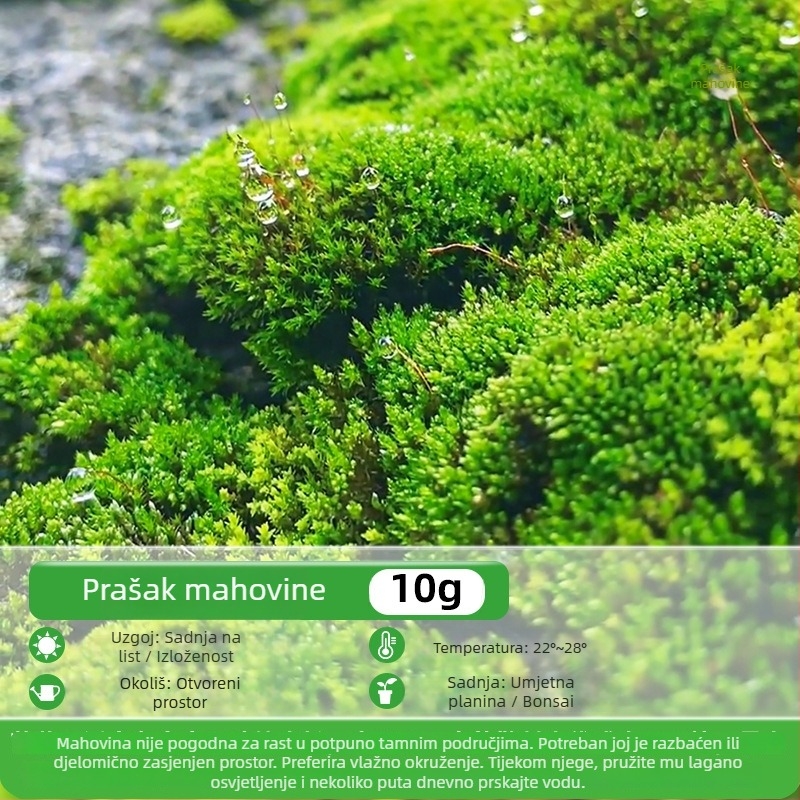 Prašak mahovineih spora za mikro pejzaže i bonsaje — Marka Independence, neimportirano