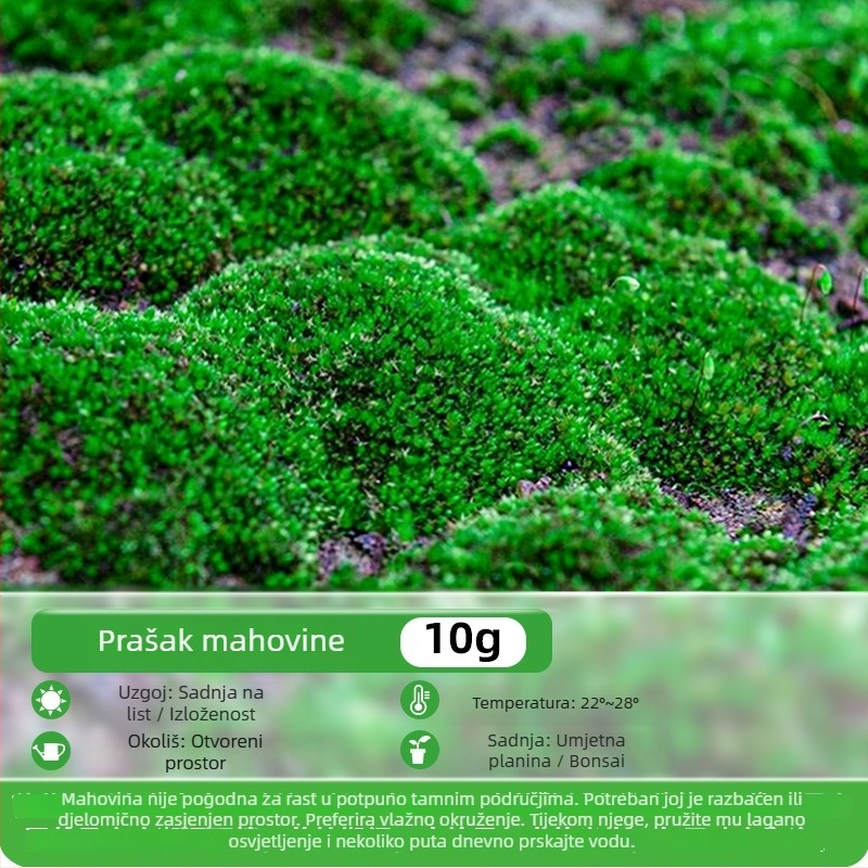 Prašak mahovineih spora za mikro pejzaže i bonsaje — Marka Independence, neimportirano