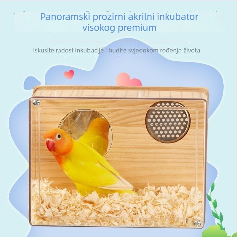 Gnijezdo za uzgoj ptica - Za male ptice - Dob: Odrasla - Podrijetlo: Shandong - Uvoz: Ne