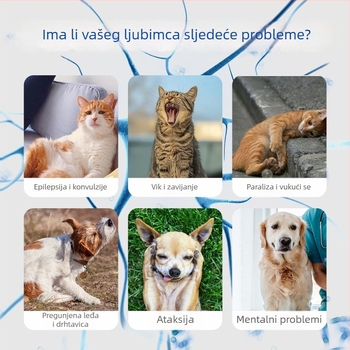 Xin Daming Dodaci za zdravlje kućnih ljubimaca – Neurotrofične tablete za podršku živaca i jačanje tijela, za mačke i pse, 50 g