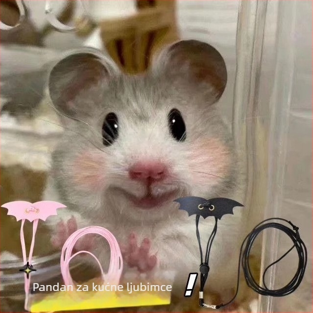 Pojas za hamster i morsko prase – zaštita od bijega tijekom šetnje; marka Friendly, šifra proizvoda HQ, materijal: Drugo, kategorija: Hrana za kućne ljubimce