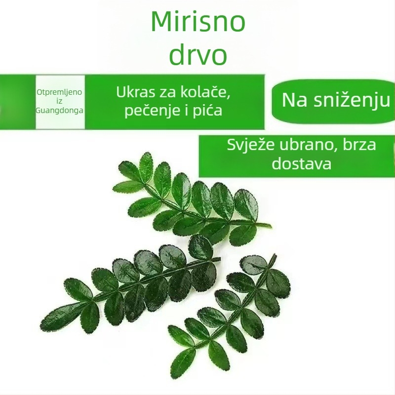 Jestivo lišće za ukrašavanje torti — mirisna drvena biljka u loncu, Pepper Wood, šifra proizvoda 33699
