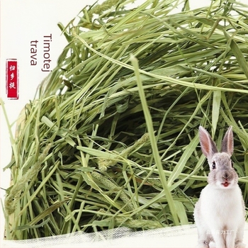 Suho Timothy seno za zečeve i glodavce – hrana za kućne ljubimce