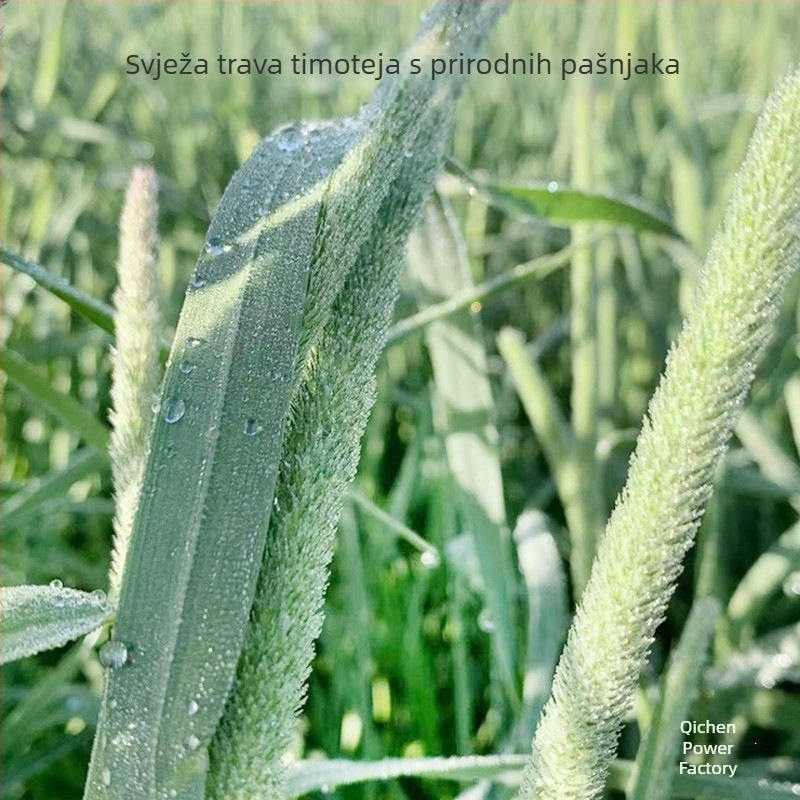 Suho Timothy seno za zečeve i glodavce – hrana za kućne ljubimce