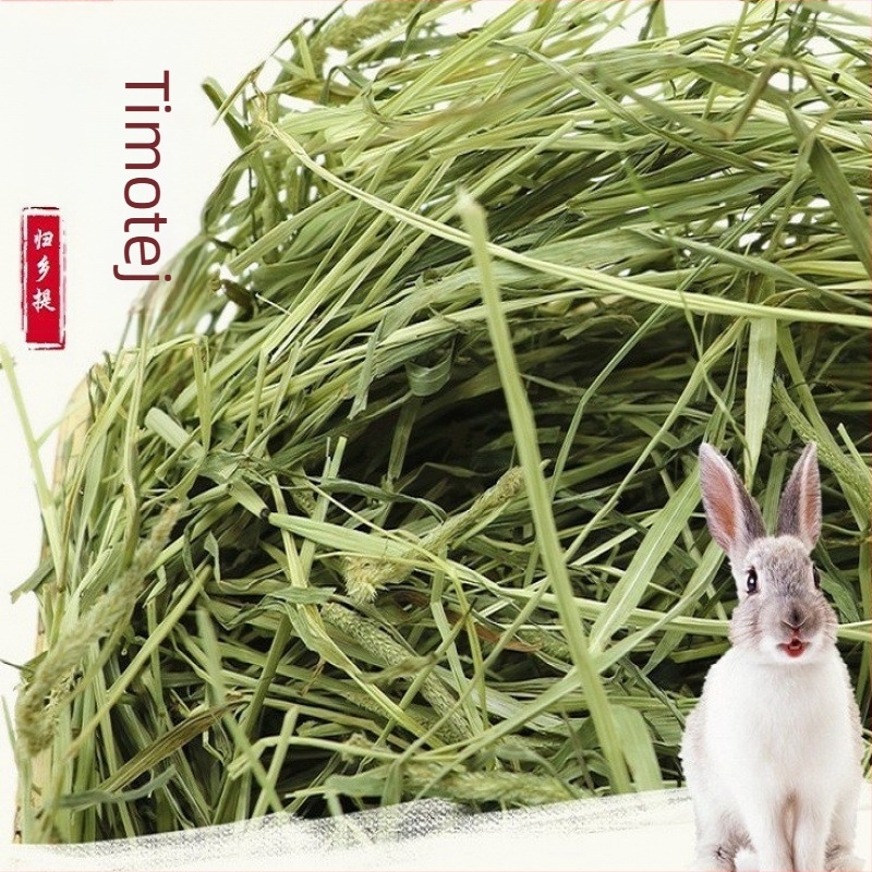 Suho Timothy seno za zečeve i glodavce – hrana za kućne ljubimce