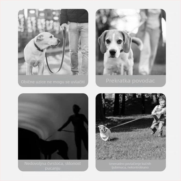 Retraktibilni povodac za pse malih i srednjih veličina — ABS materijal, automatsko produženje, marka Xin Chong